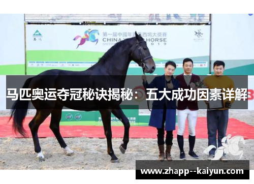 马匹奥运夺冠秘诀揭秘:五大成功因素详解 马匹奥运夺冠秘诀揭秘:五大成功因素详解