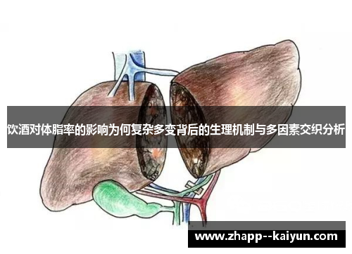 饮酒对体脂率的影响为何复杂多变背后的生理机制与多因素交织分析 饮酒对体脂率的影响为何复杂多变背后的生理机制与多因素交织分析