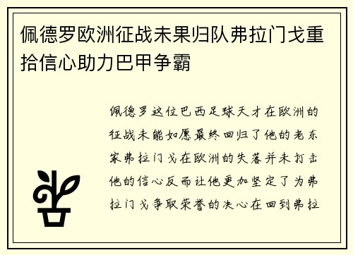 佩德罗欧洲征战未果归队弗拉门戈重拾信心助力巴甲争霸 佩德罗欧洲征战未果归队弗拉门戈重拾信心助力巴甲争霸